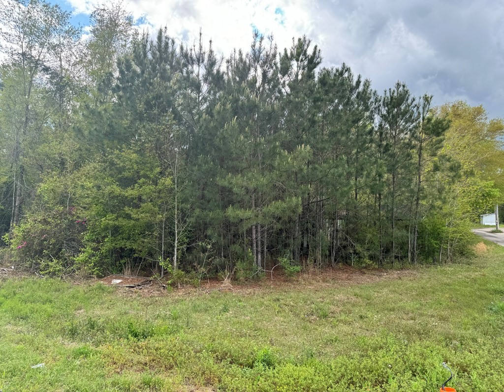 Other - 6499 Highway 11 North, Picayune, MS