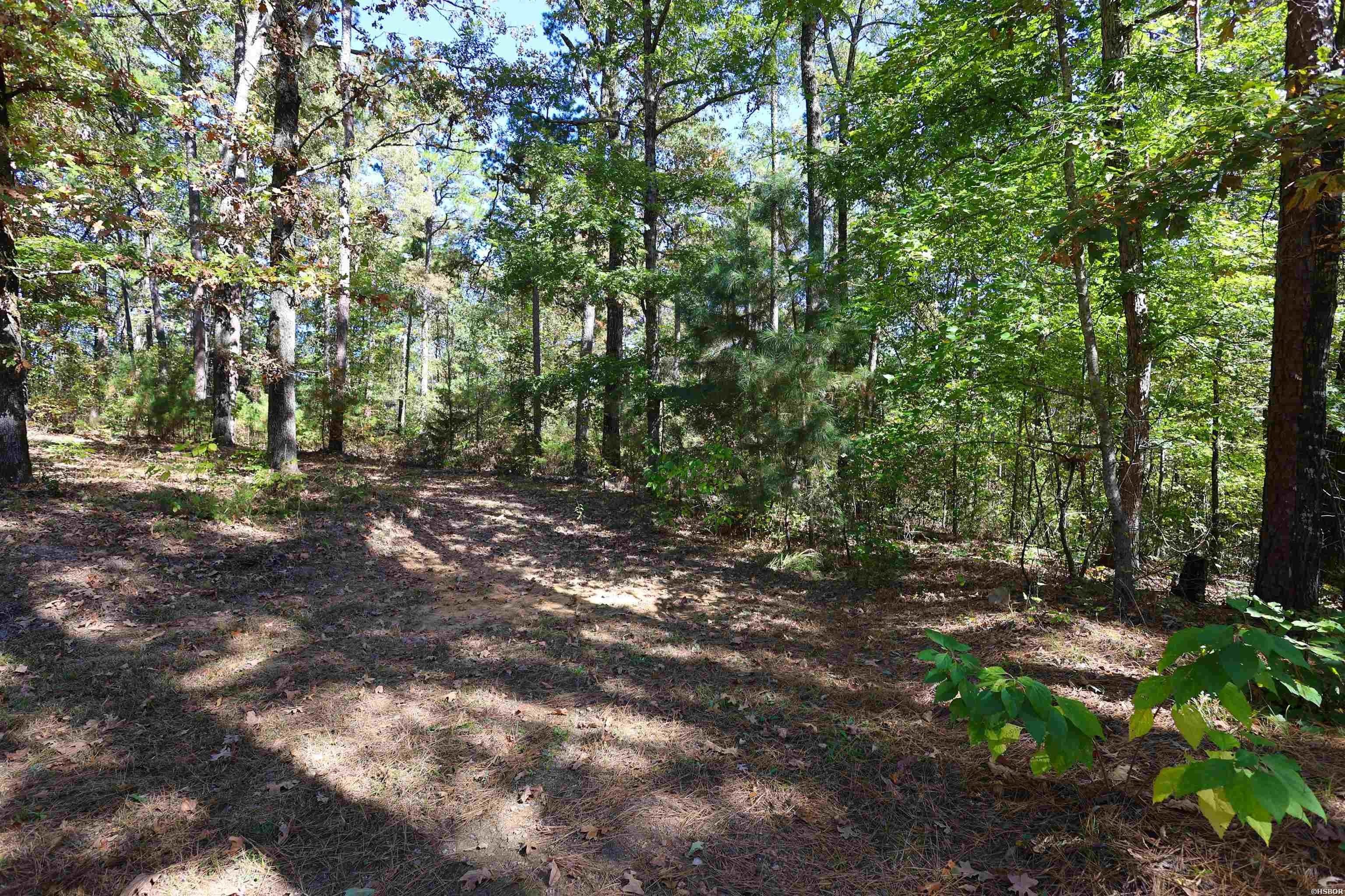 Single Family 3BR 3BA - 646 SCHOOL Street, Amity, AR