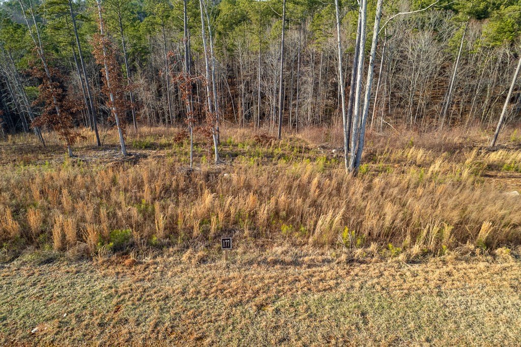 Other - Lot 177 Shallow Water Way, Talking Rock, GA
