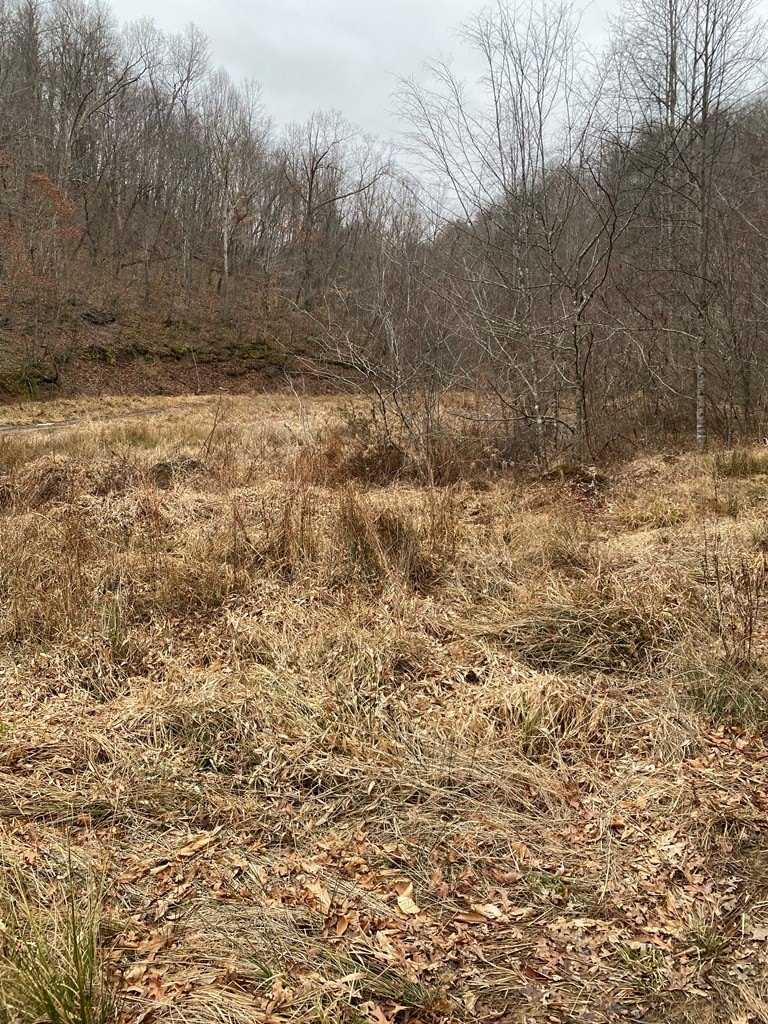 Other - 0 Cow Creek (Map 008-00-00-013), Salyersville, KY