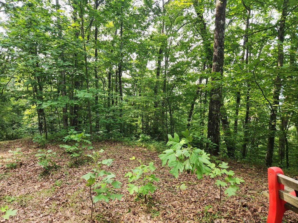 Other - Little Fawn lot: 13, Franklin, NC