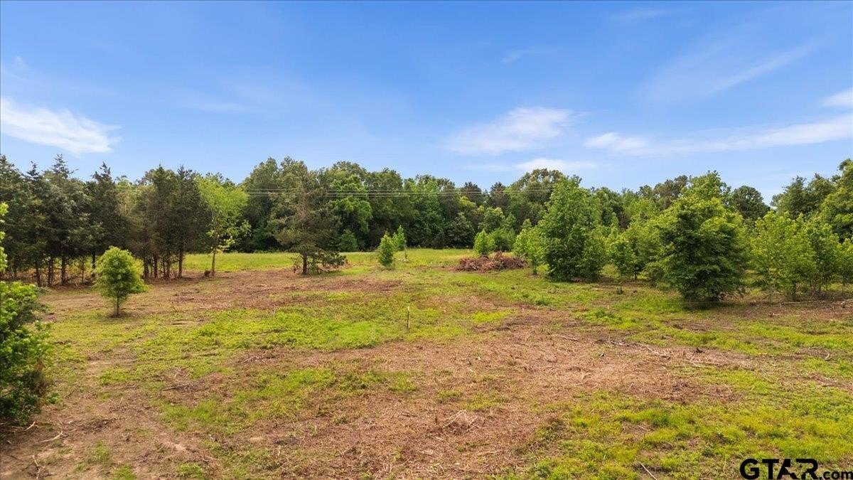 Other - Lot 3 CR 1552, Long Branch, TX