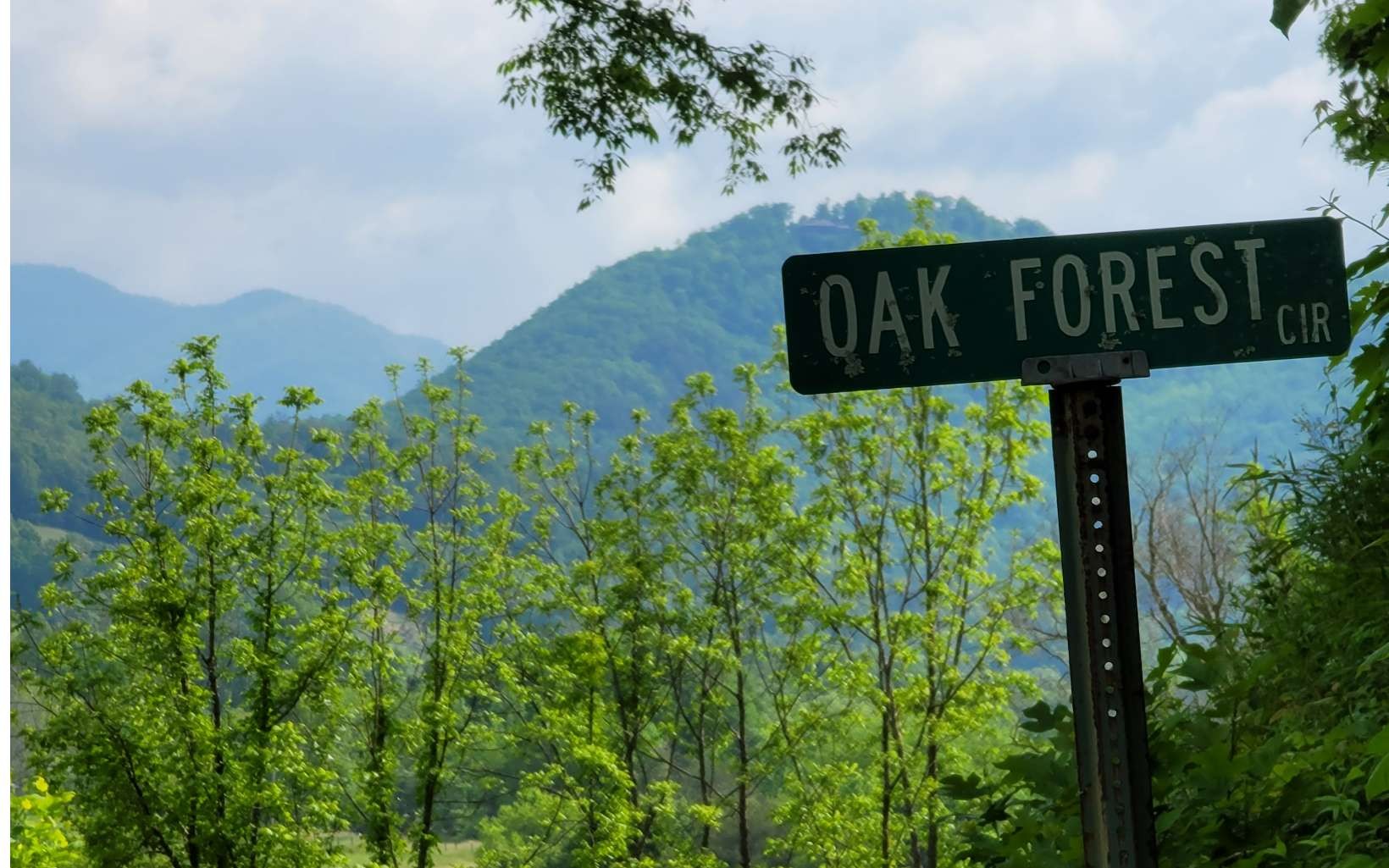 Other - 4 Oak Forest Acres lot: 4, Hayesville, NC