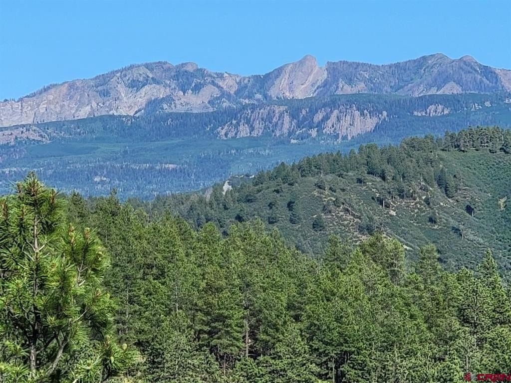 Single Family - X Catchpole Drive, Pagosa Springs, CO