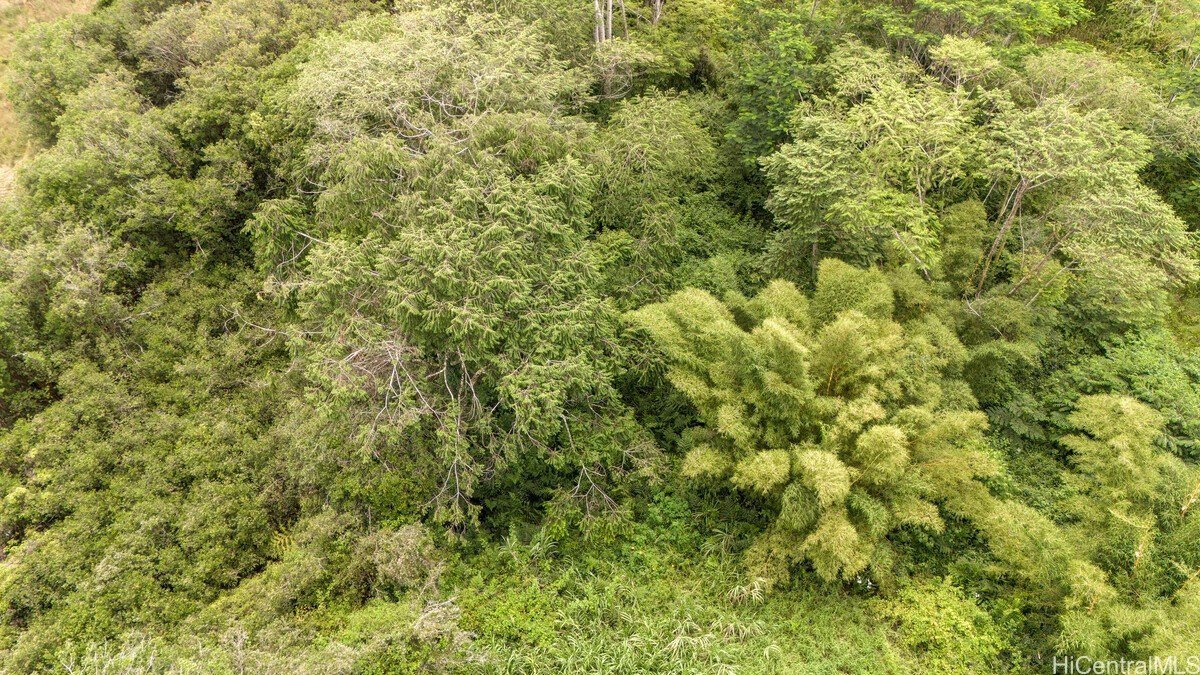 Other - Lot 89 Huina Road, Mountain View, HI