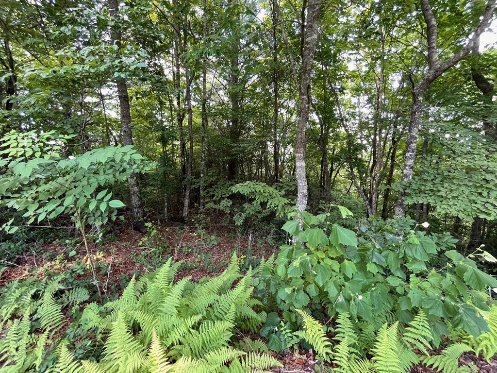 Other - Lot 11 Little Cove Lane, Hiawassee, GA