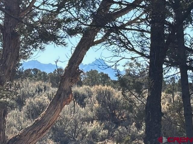 Other - County Road 22B lot: 1, Montrose, CO