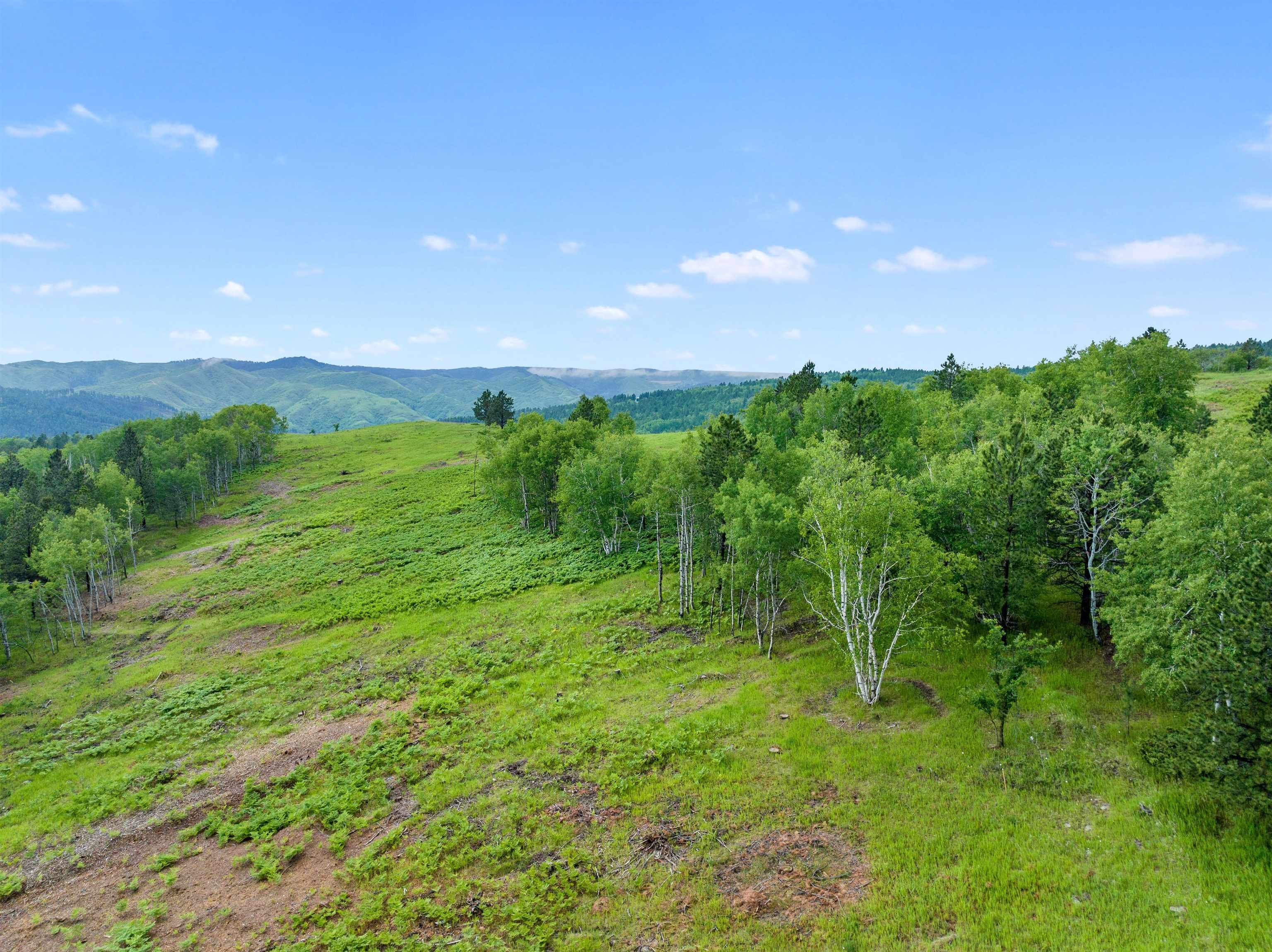 Other - Bavarian Lode Drive lot: 52 Blk 4 Tbd, Deadwood, SD