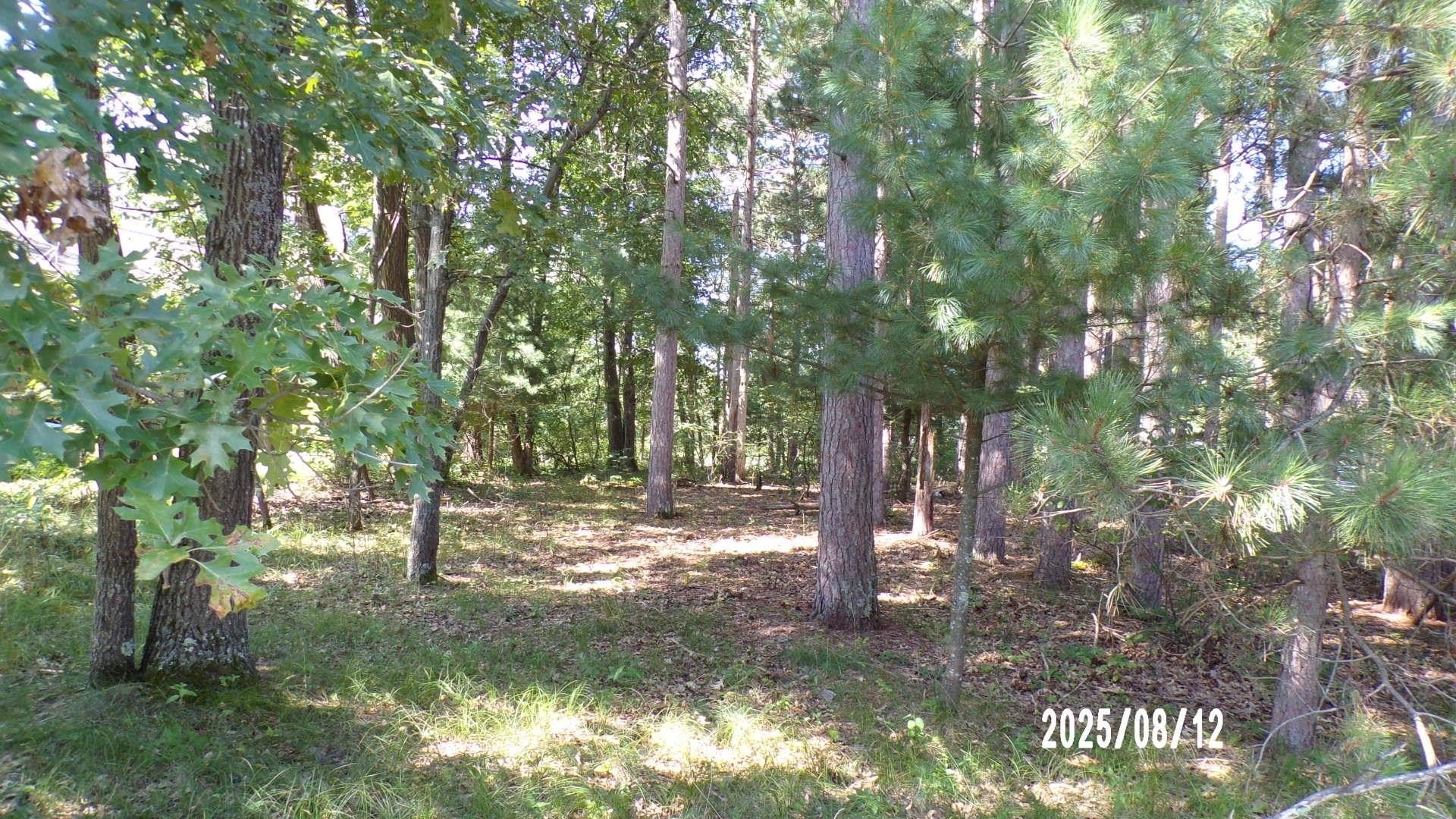 Other - 1087 E Queens Way, Nekoosa, WI