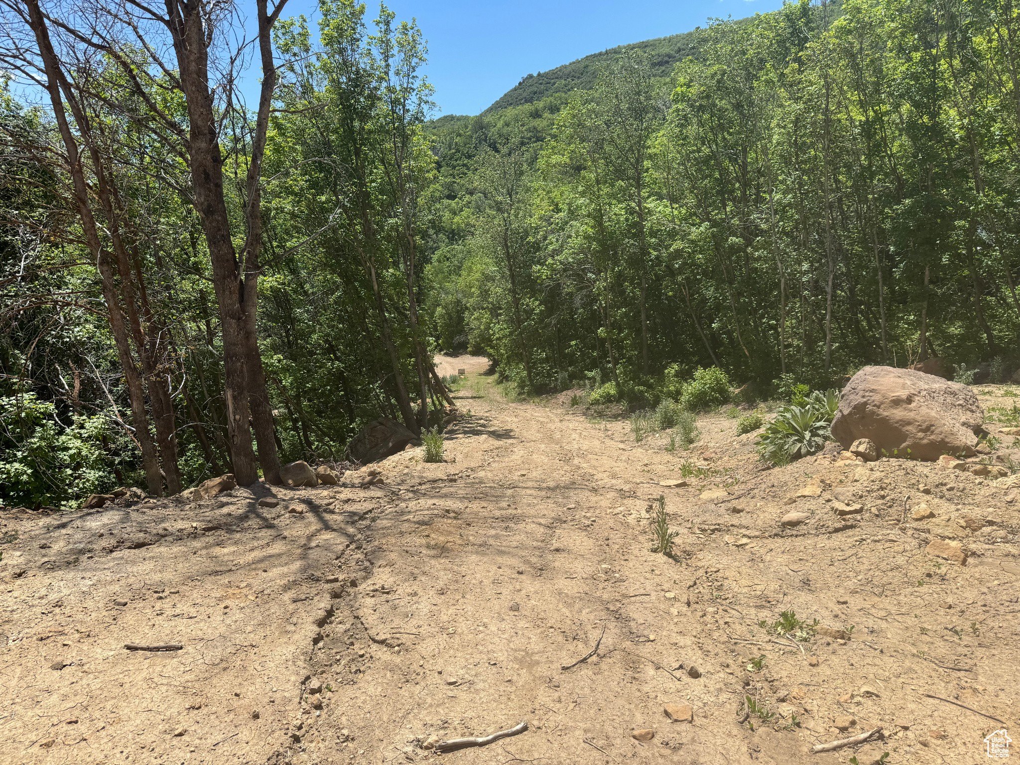 Other - 29 L BIRCH CREEK Dr, Fairview, UT