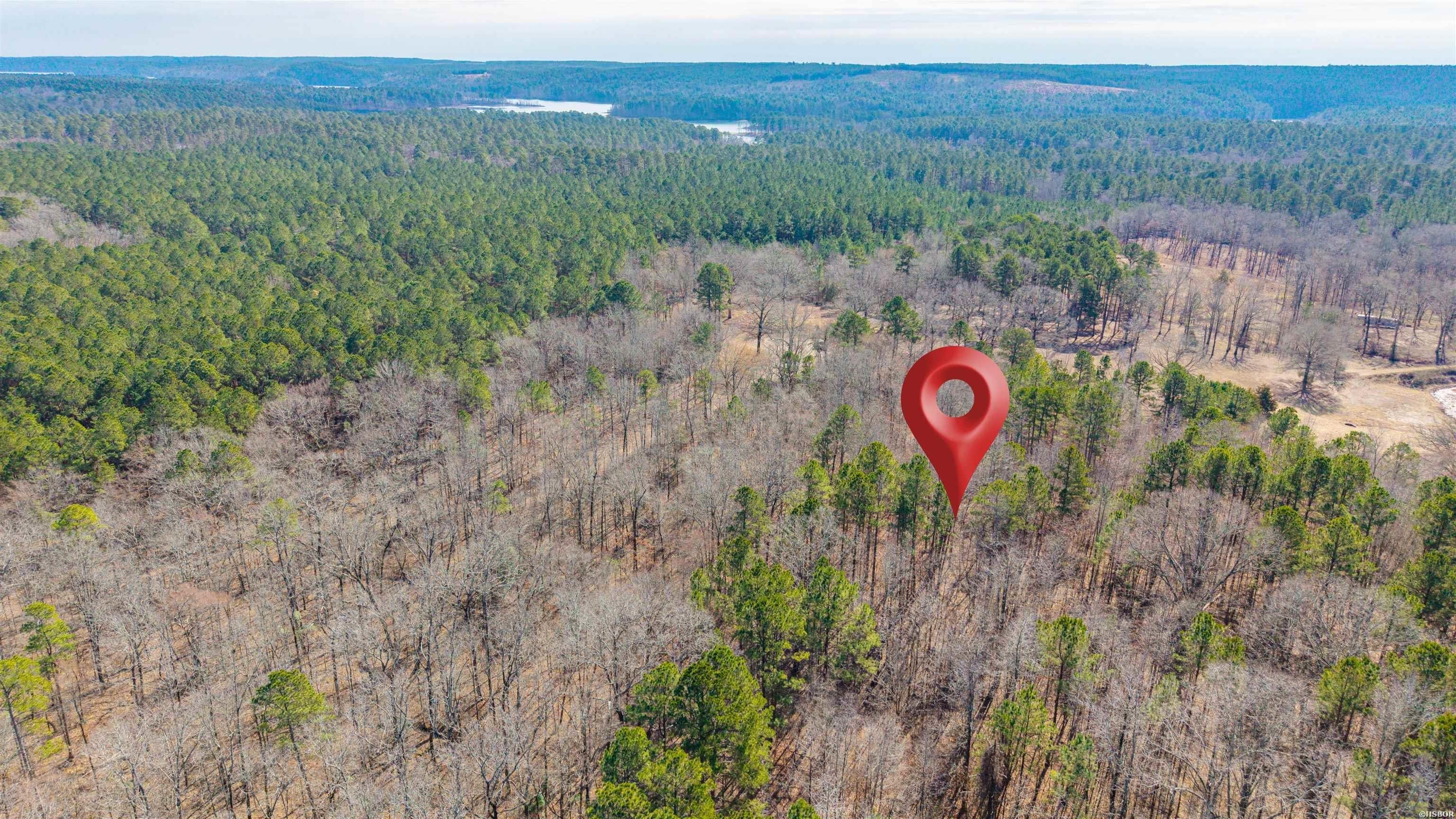 Single Family - 0000 BRUSHY CEMETERY Road, Amity, AR