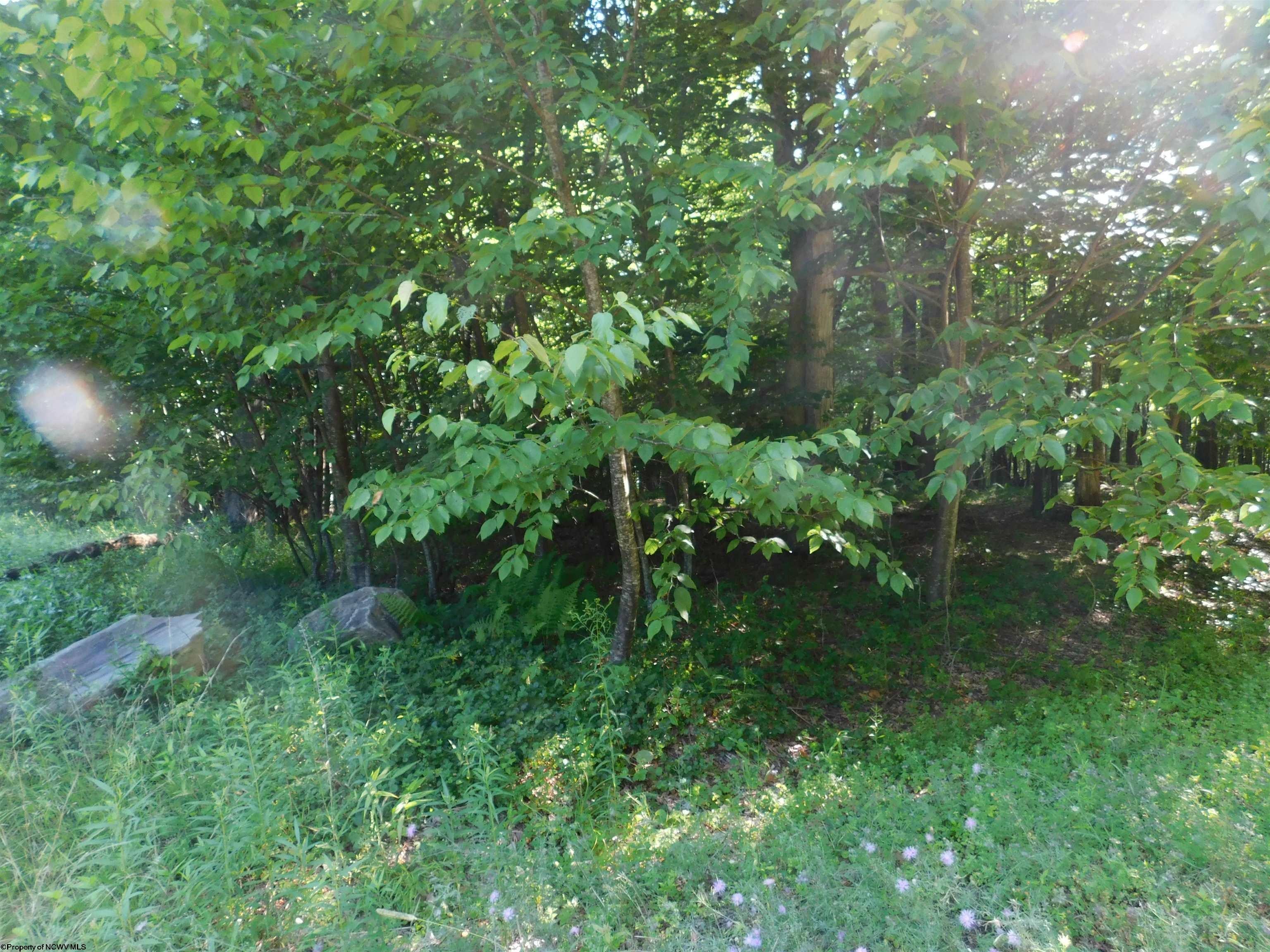 Other - Lot 7 Cherry Wood Lane, Terra Alta, WV