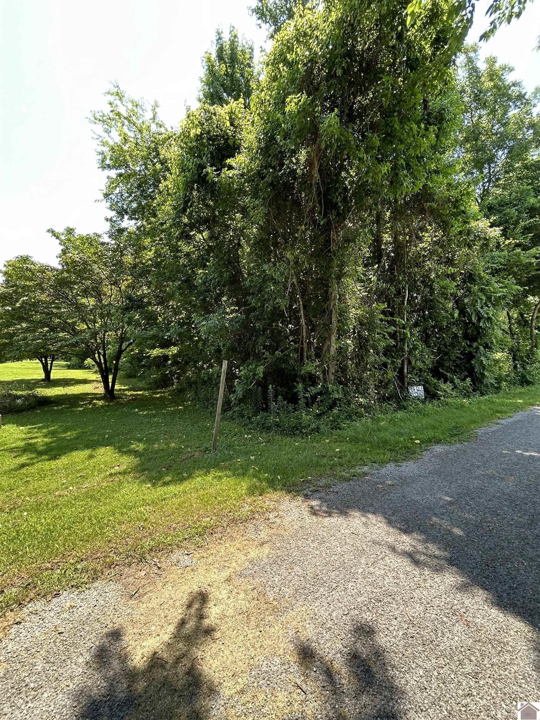 Other - Pecan, Cadiz, KY