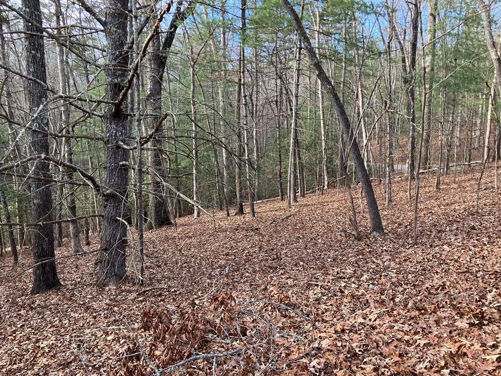 Other - Lot 26A Amandas Way, MURPHY, NC