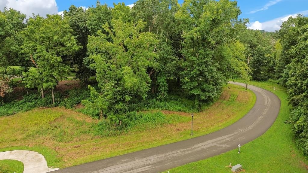 Other - Washington Way Unit # Lot 192, Bristol, VA