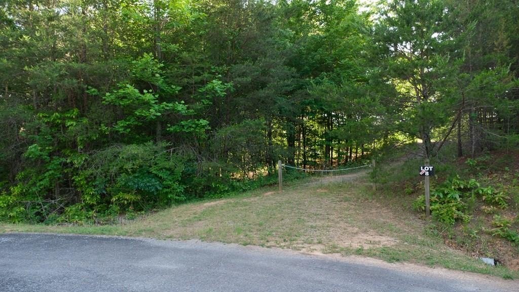 Other - Lot 8 Robert Drive, Ellijay, GA