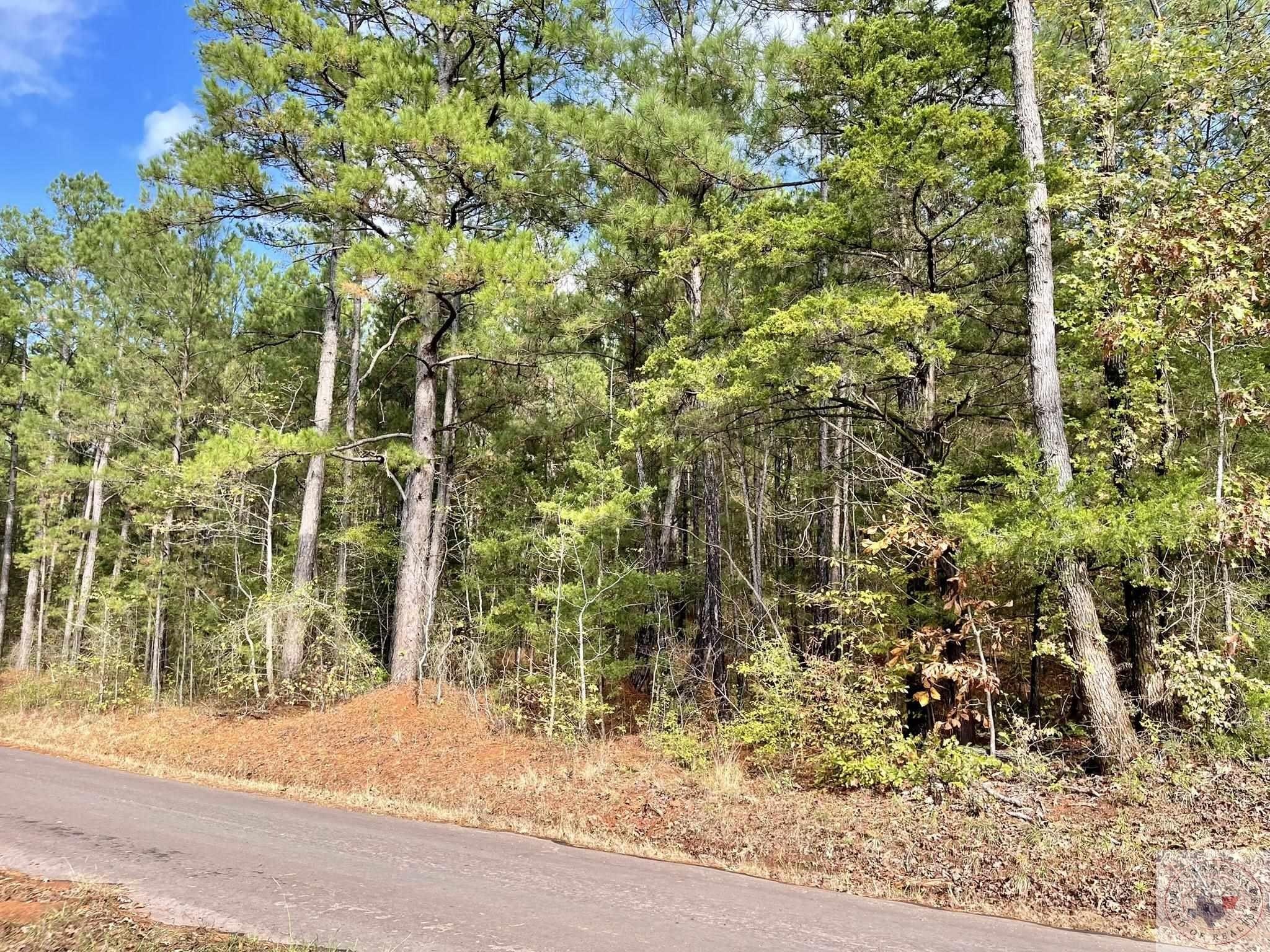 Other - County Road 1118, Linden, TX
