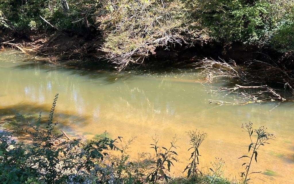 Other - 37+ Ac Jarrett Rd, HAYESVILLE, NC