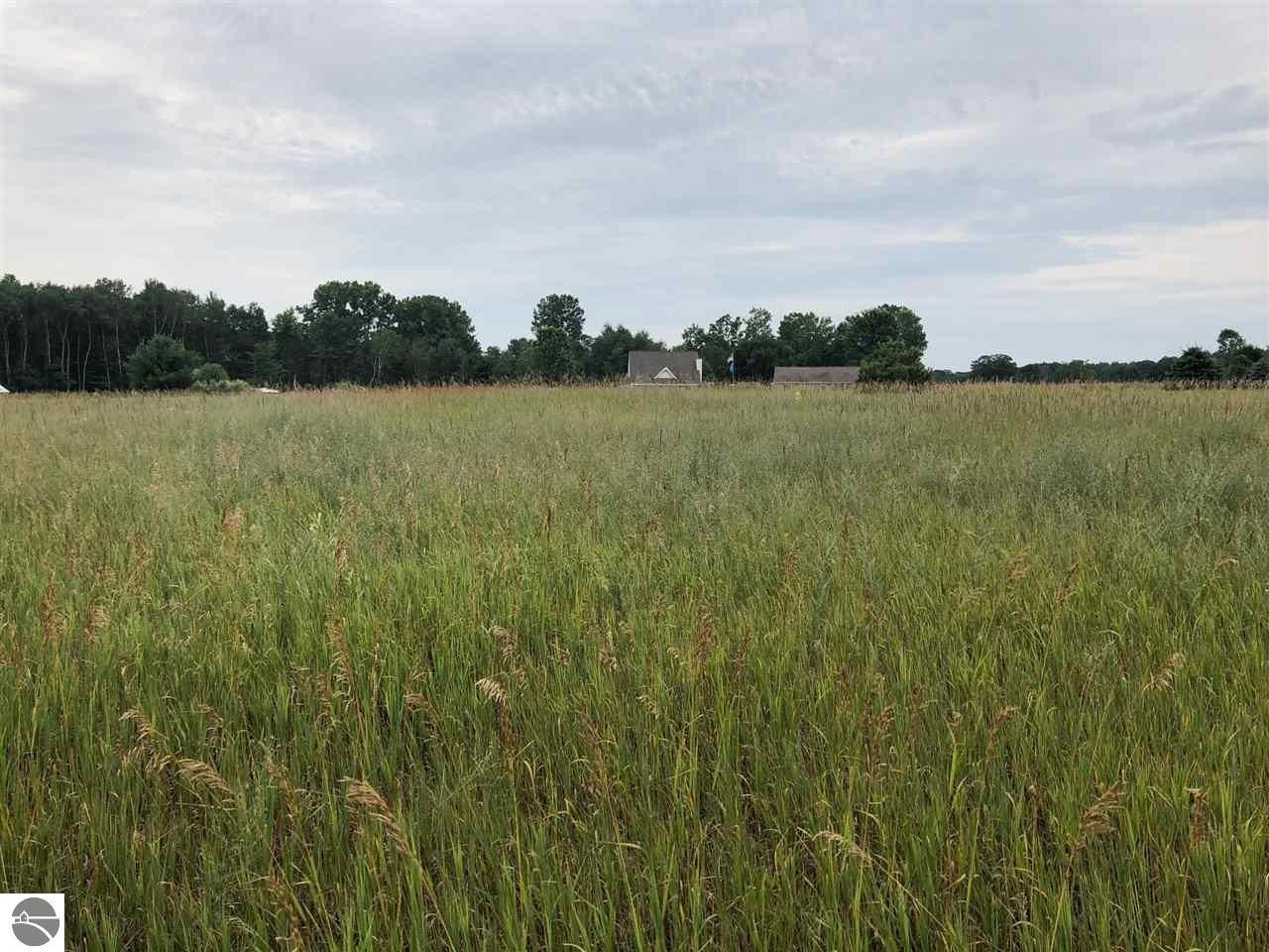Other - 1003/1005 Pyrenees Drive, Lake Isabella, MI