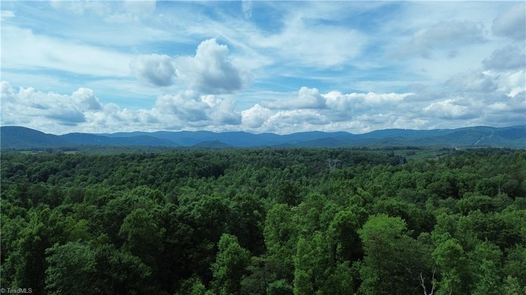 Single Family - Bauguess Mill Road, Traphill, NC