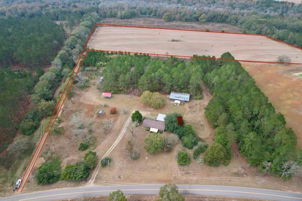 Single Family - 1041 & 0 County Road 73, Slocomb, AL