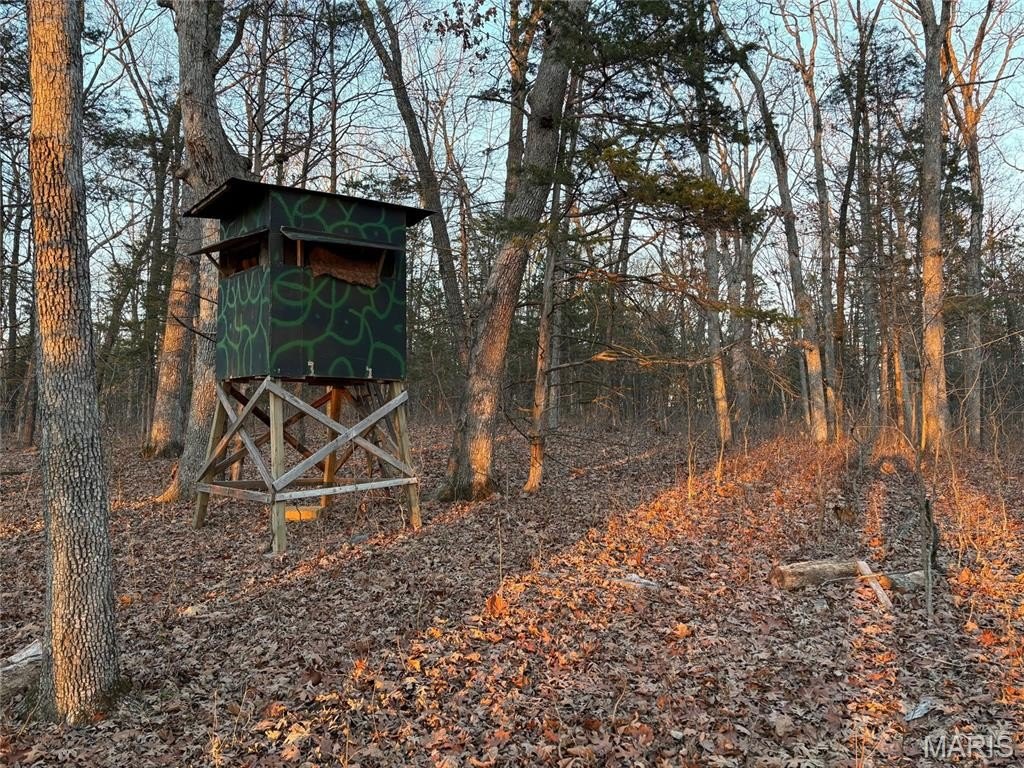 Other - 0 4.7 Acres Log Cabin Trail, New Florence, MO