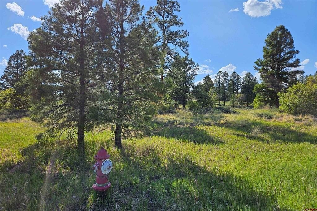 Other - 1305 Trails Boulevard, Pagosa Springs, CO