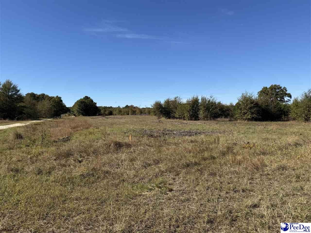 Other - Lot 32 Norwood Farms, McBee, SC