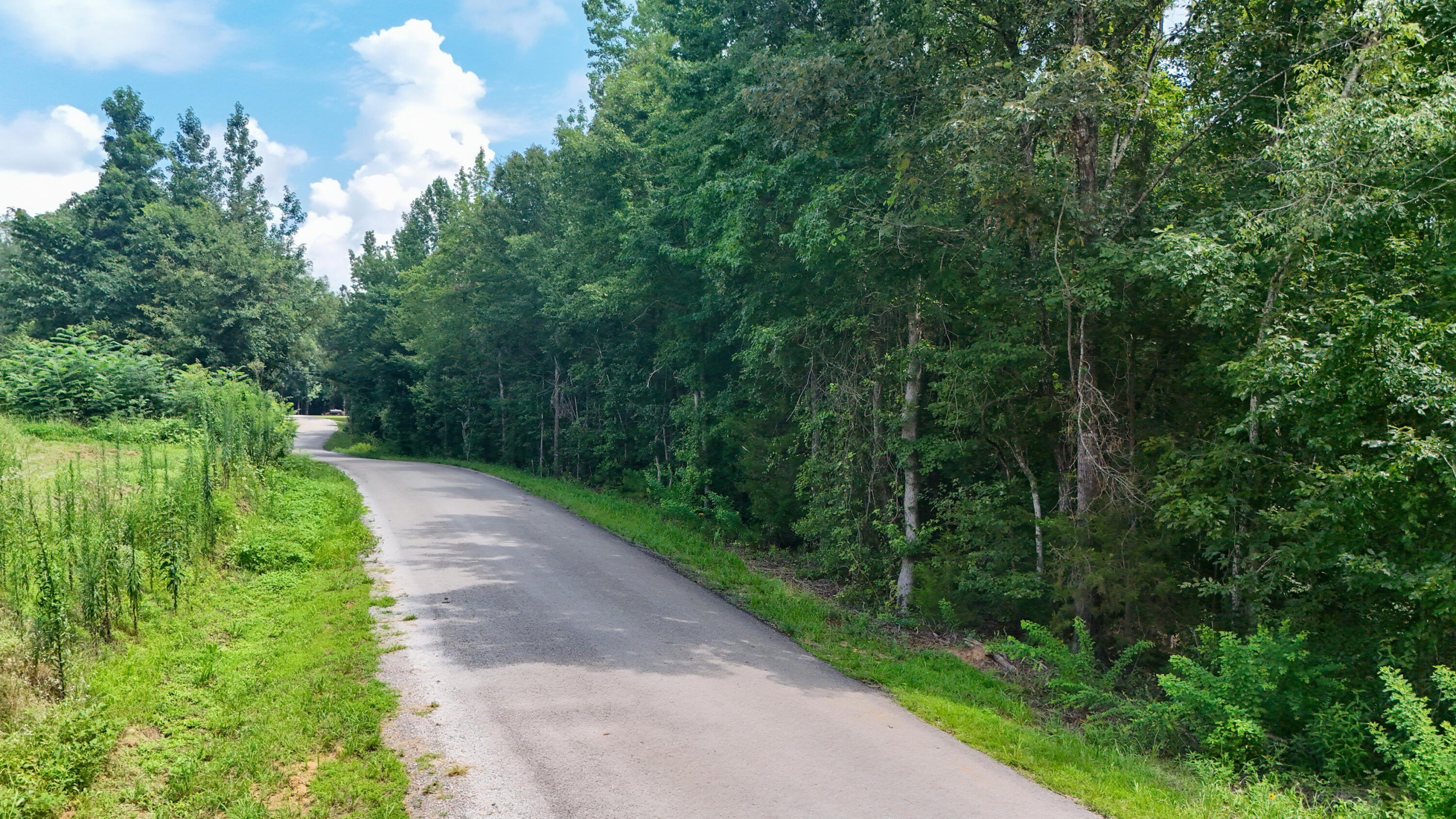 Single Family - Martin Road NE, Golden, MS