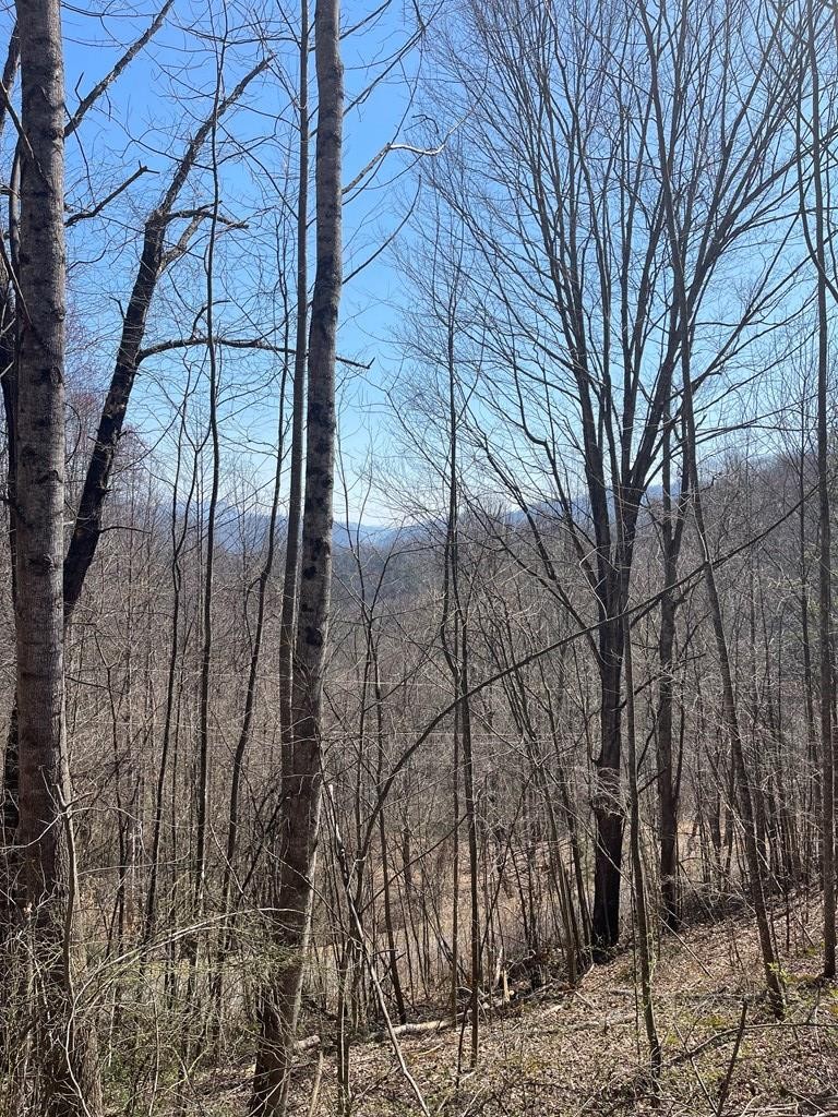 Other - Trotters Trail, Waynesville, NC