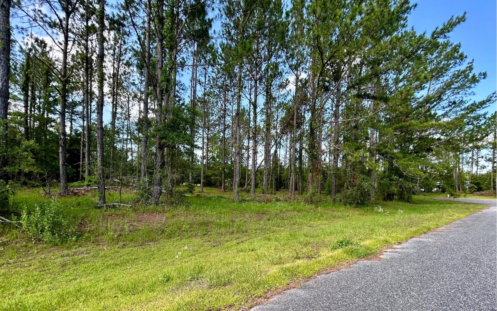 Single Family - LT 19 88TH TRL, Live Oak, FL