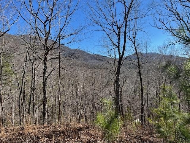 Other - Lot 10 Mountain Valley View, Hiawassee, GA