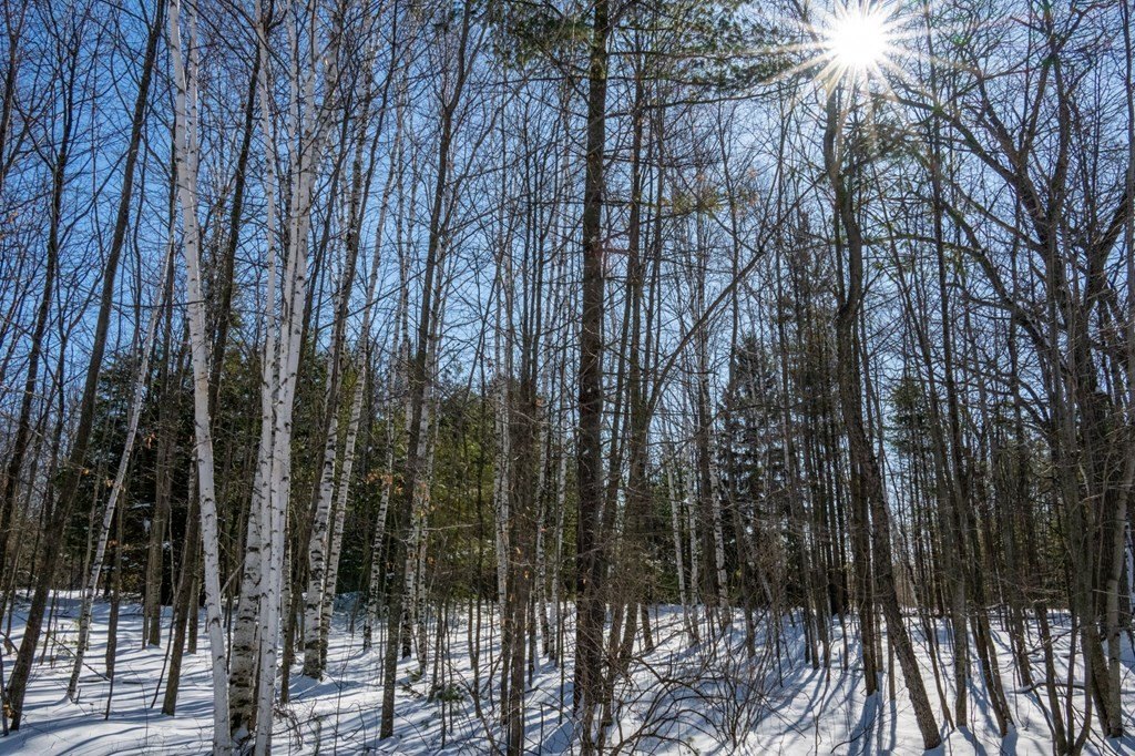 Other - Lot 88 Stone Fence Dr, Sturgeon Bay, WI