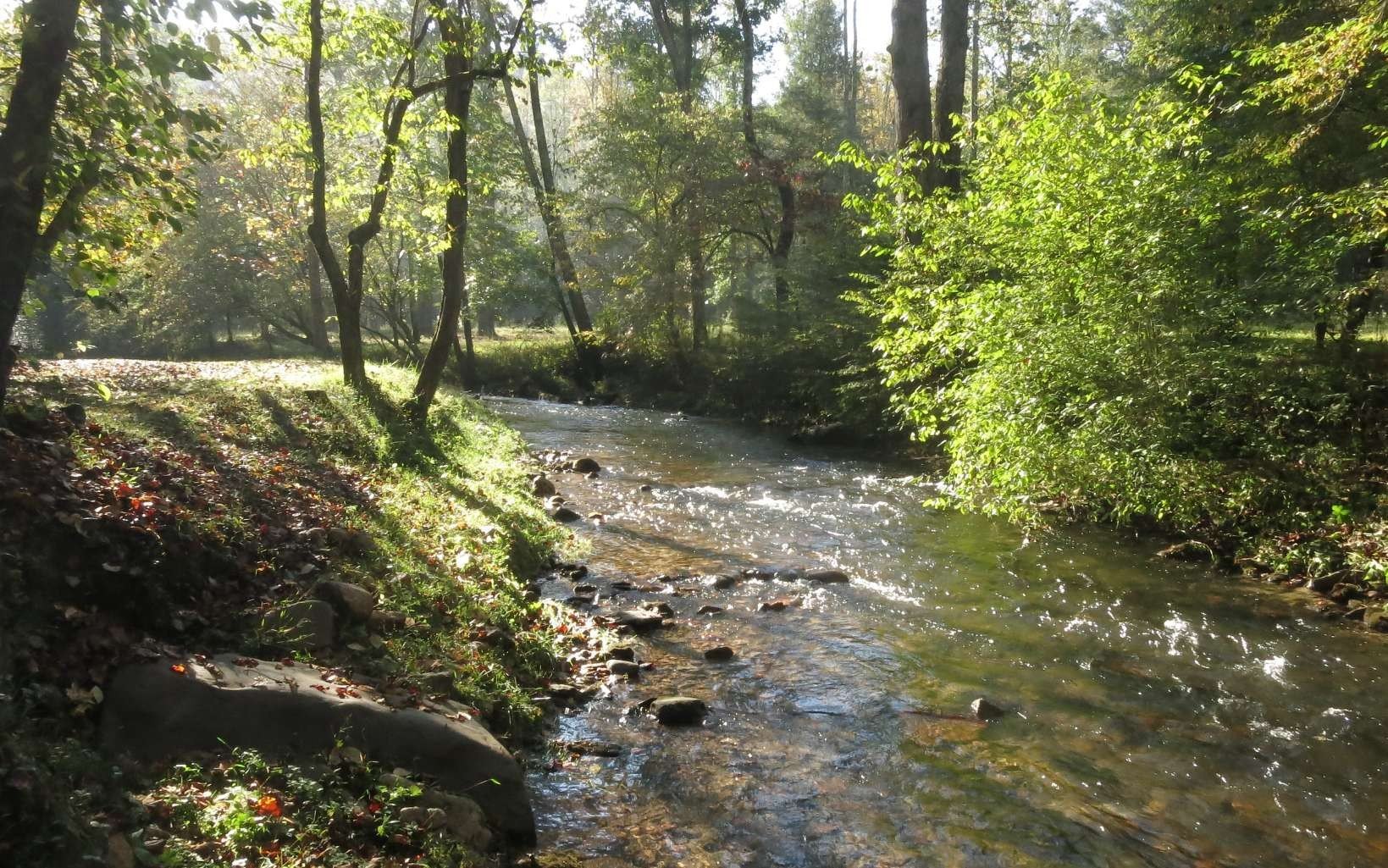 Other - Tanager Trail lot: 17R, Ellijay, GA