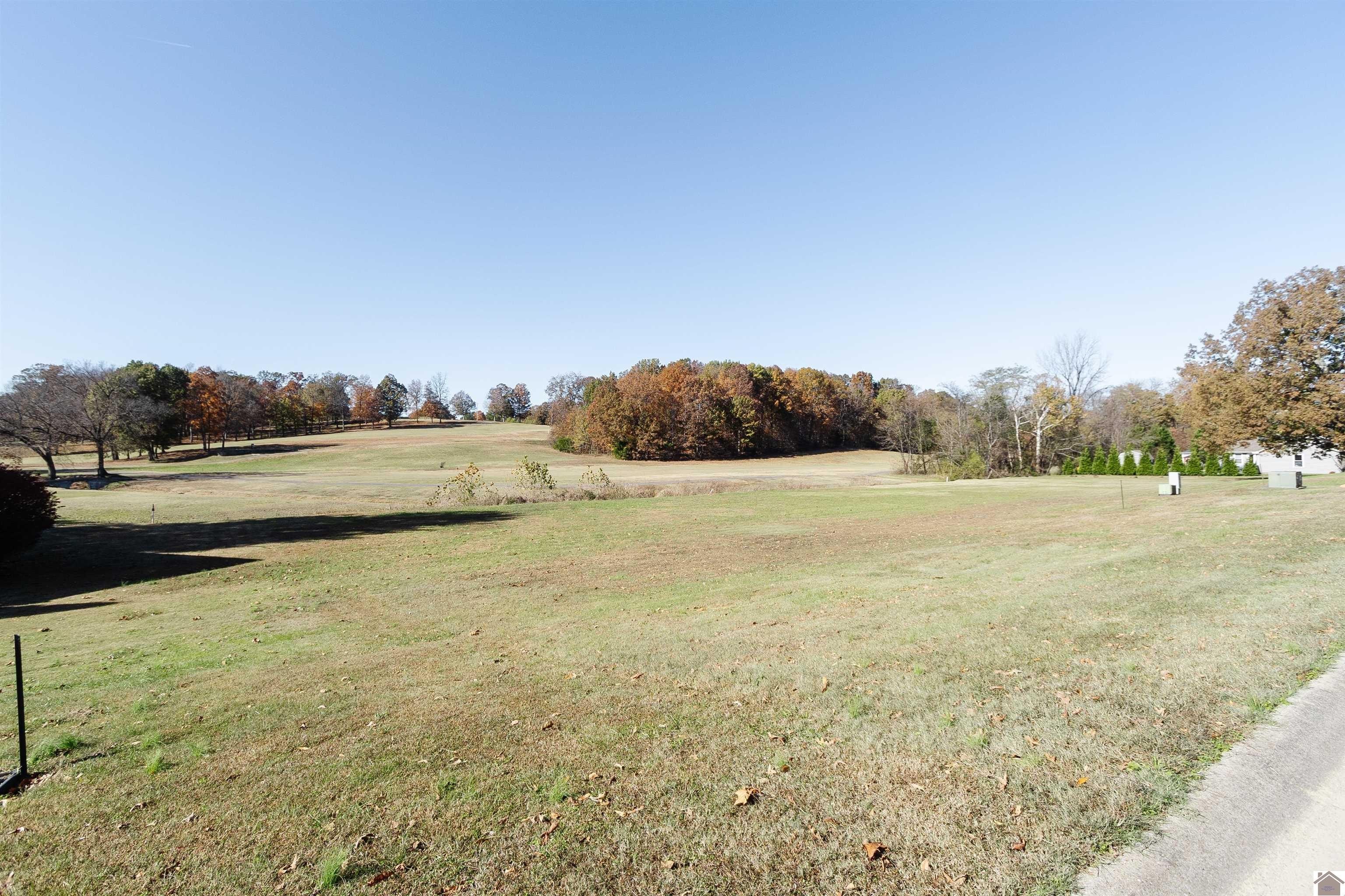Other - Fairway Dr lot: 12 & 13, Benton, KY