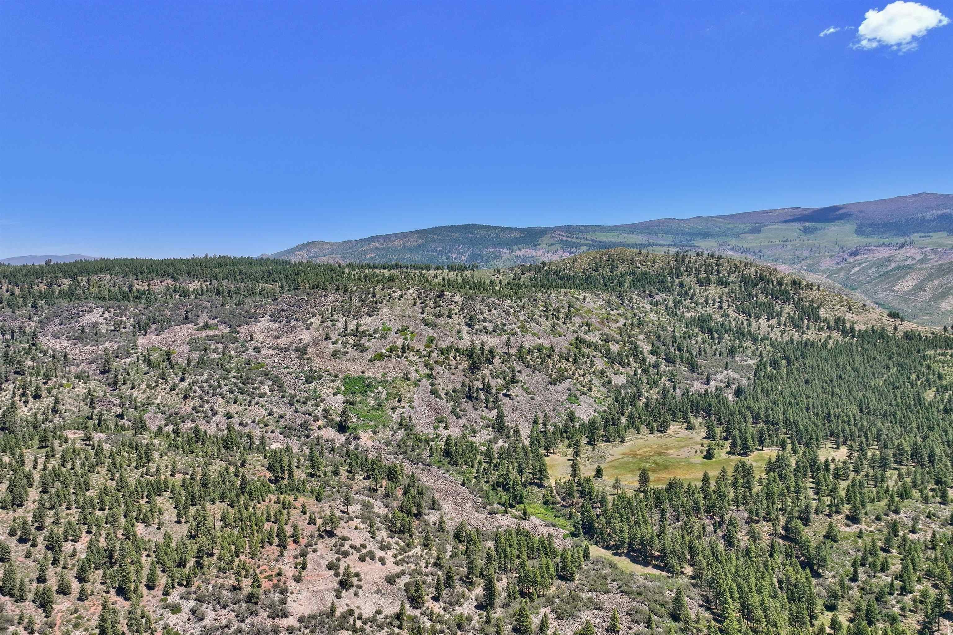 Plots and Land - 000 Boca Road, Floriston, CA