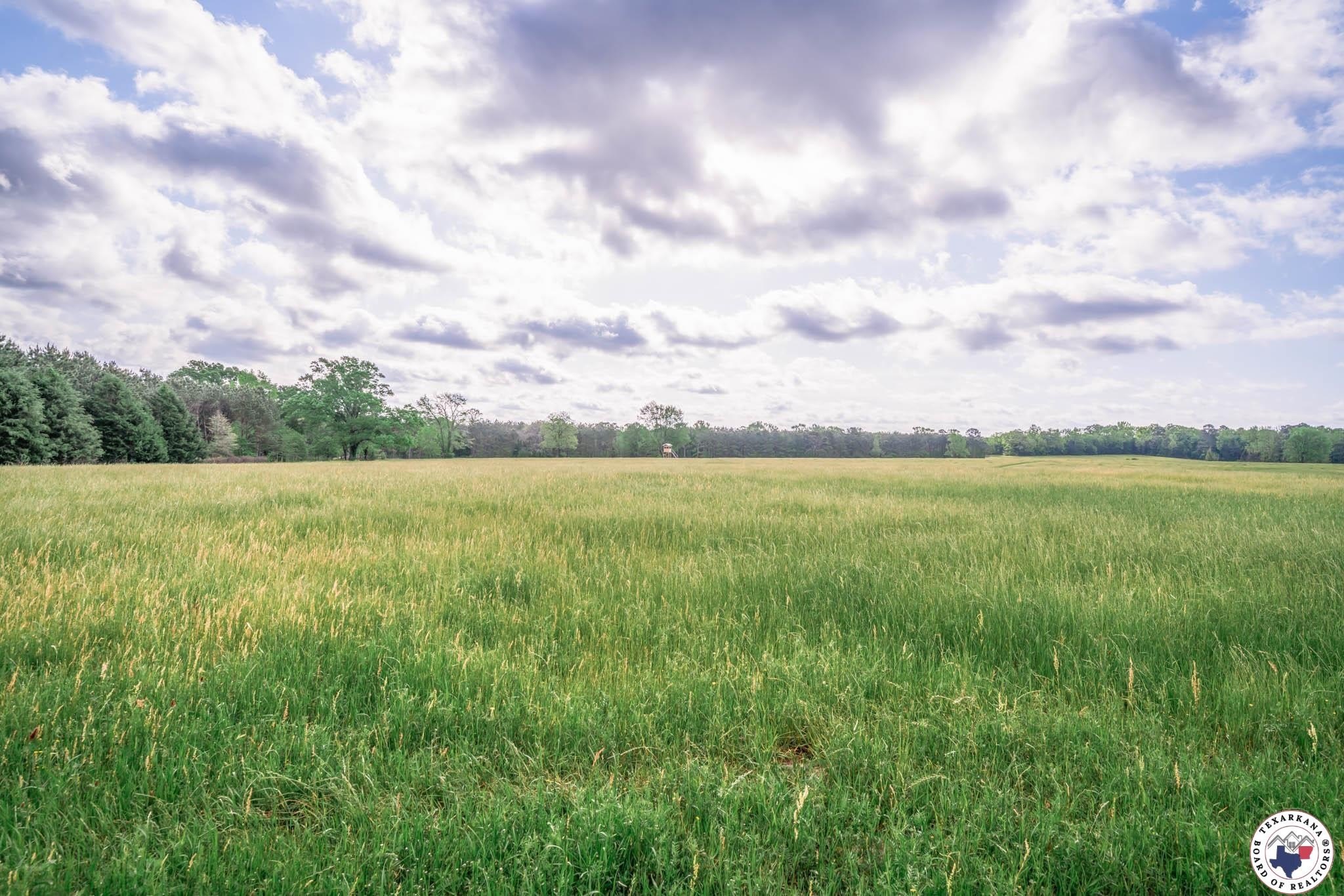 Other - 148.5 ac FM 995, Atlanta, TX