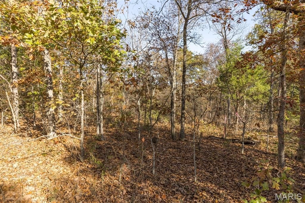 Other - Lot 6 Thunder Ridge Road, Richwoods, MO