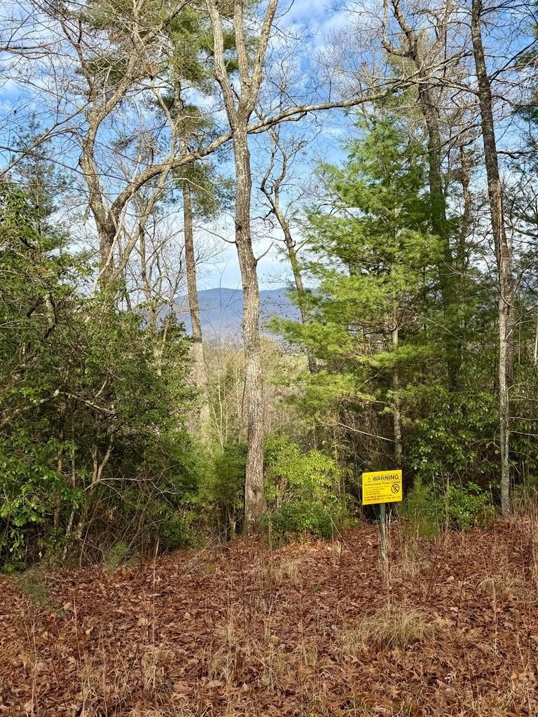 Other - Lot 26 Our Hidden Mountain, MURPHY, NC