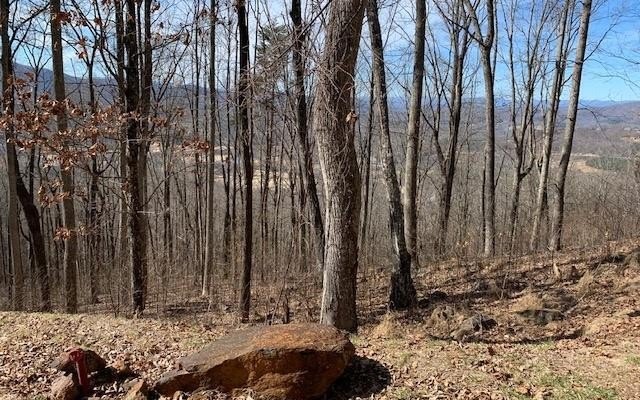 Other - Lot 2 Rocky Knob Estates, Young Harris, GA