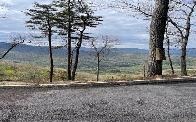 Other - Rocky Knob Estates lot: 2, Young Harris, GA