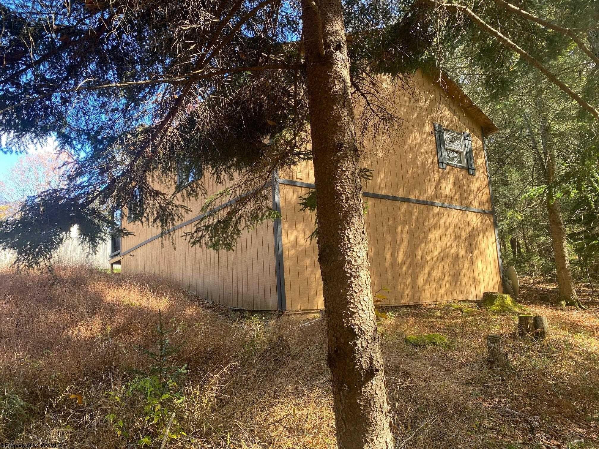 Single Family 1BR 1BA - 65 Black Dog Run Road, Bowden, WV