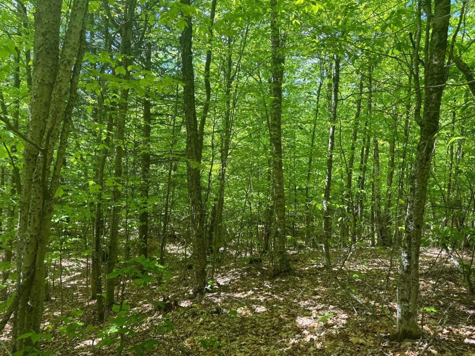 Other - 1.4 Cobble Creek Rd., Chester, NY
