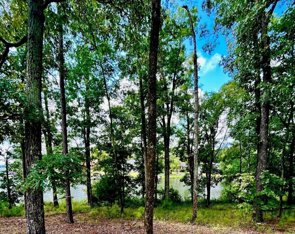 Single Family - 37 Longshot, Cross Hill, SC