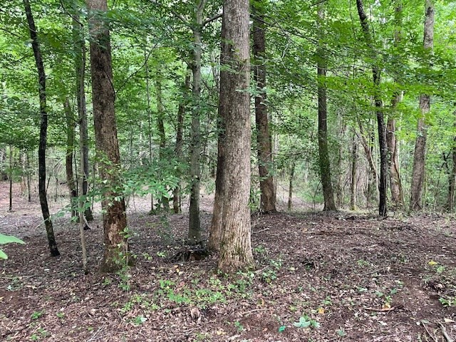 822 Myers Cv Rd  