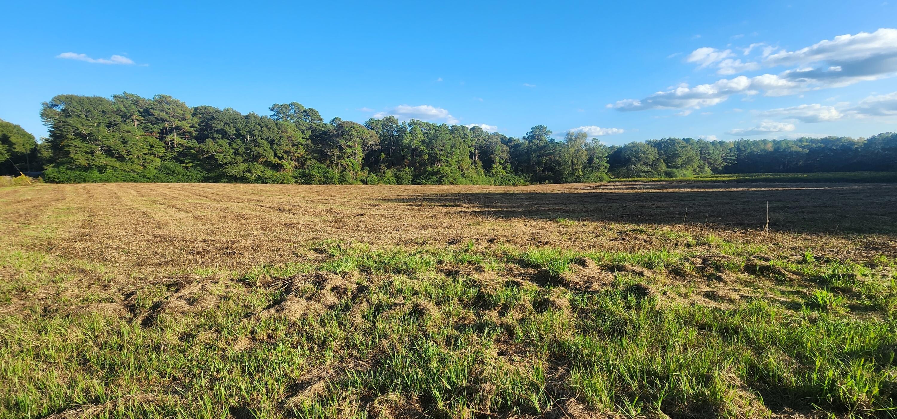 Other - 721 J D Broome Rd, Sumrall, MS