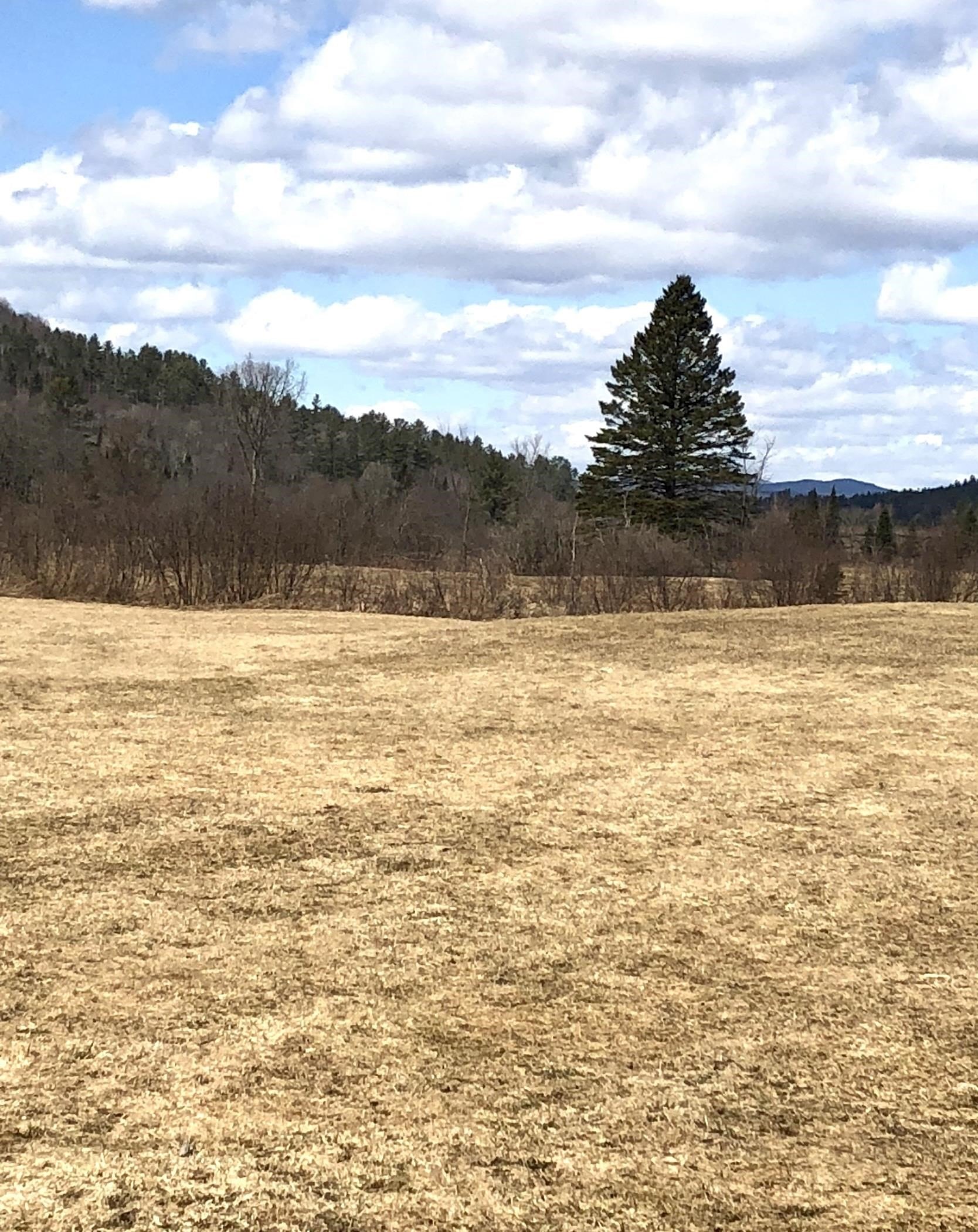 Other - 0 White Road, Dalton, NH