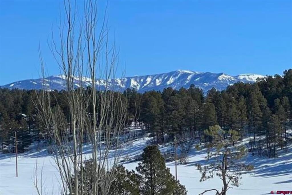 Single Family - 18 Balfour Court, Pagosa Springs, CO