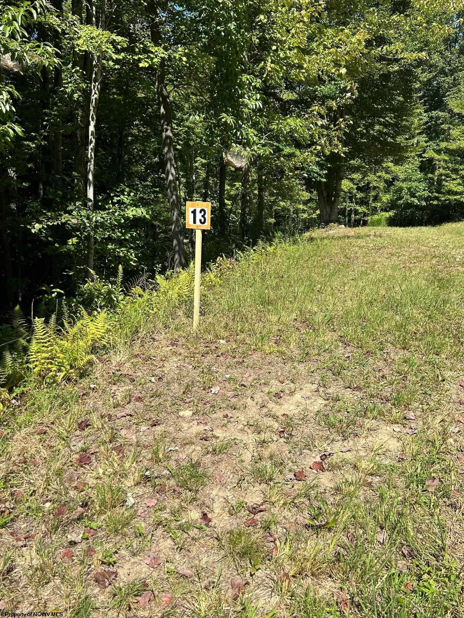 Other - Lot 13 Countryside Drive, Buckhannon, WV