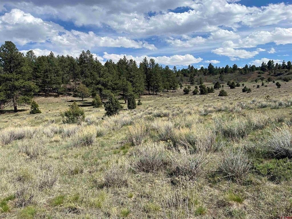 Other - White Tail Lane, Ridgway, CO